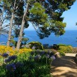 cap_roig Ботанический сад "Кап Ройж"