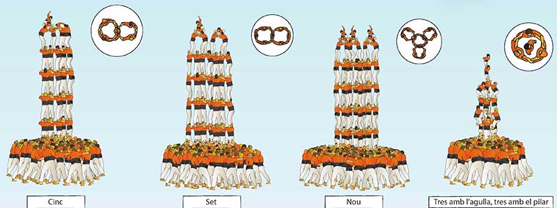 Типы кастельс