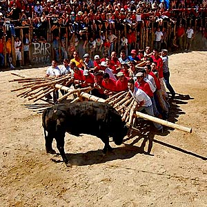 Укрощение быка