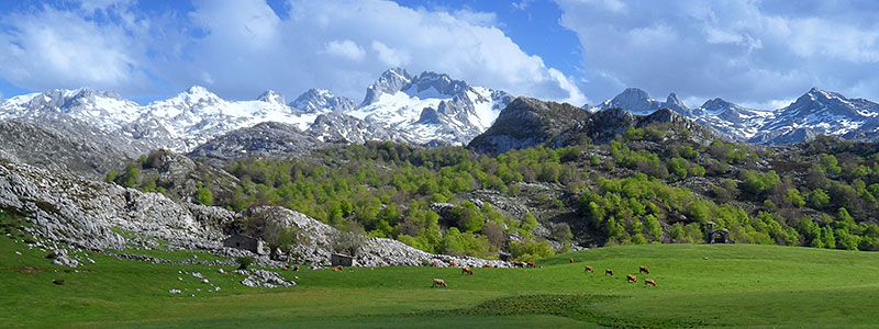 la_pena_santa_de_enol_pn_picos_de_europa