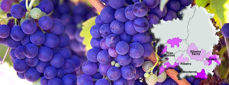 Карта ДО Галисии 