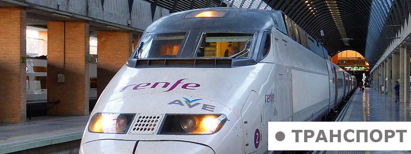 30300px-ave_estacion_de_santa_justa