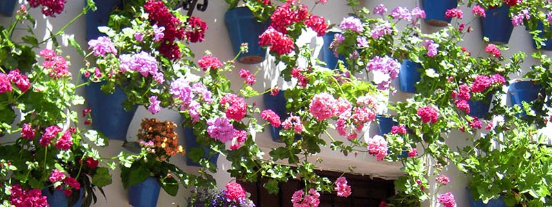 Дворики Кордовы