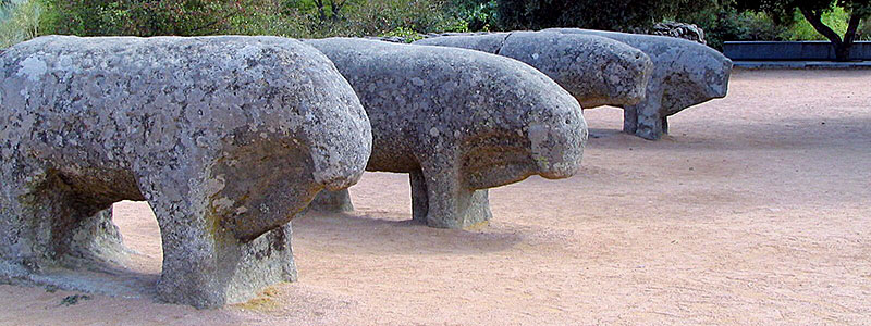 Быки Гисандо - хранители памяти об иберийском прошлом Кастилии