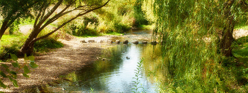 Осень в Кастилии