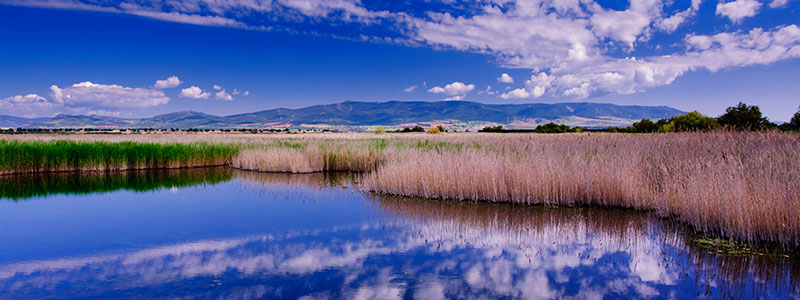 Национальный парк "Таблас де Дамьель"