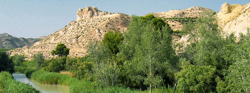 река Сегура в регионе Мурсия