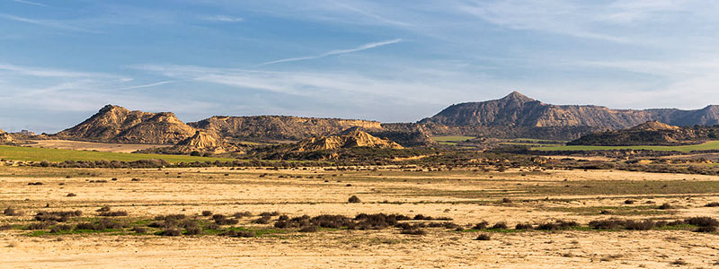 Барденас Реалес