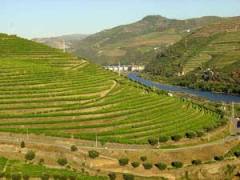 Долина реки Доуро