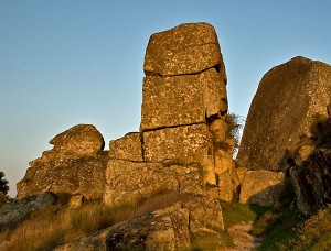 Дикая природа Португалии