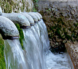 Монтанехос