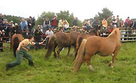 Ярмарка Сан Лукас в Мондоньедо