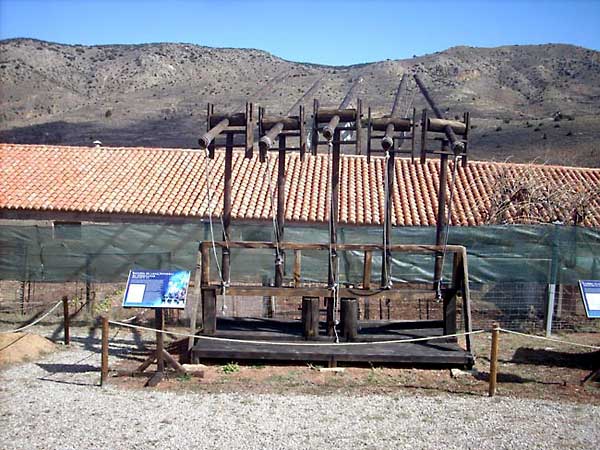 Требучет парк