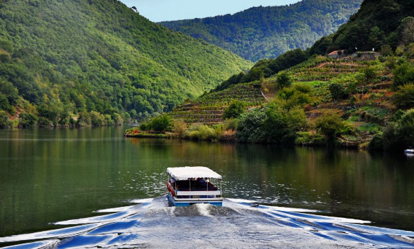 Галисия, Рибейра Сакра, Испания