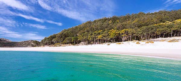 Остров Родас, Галисия, Испания